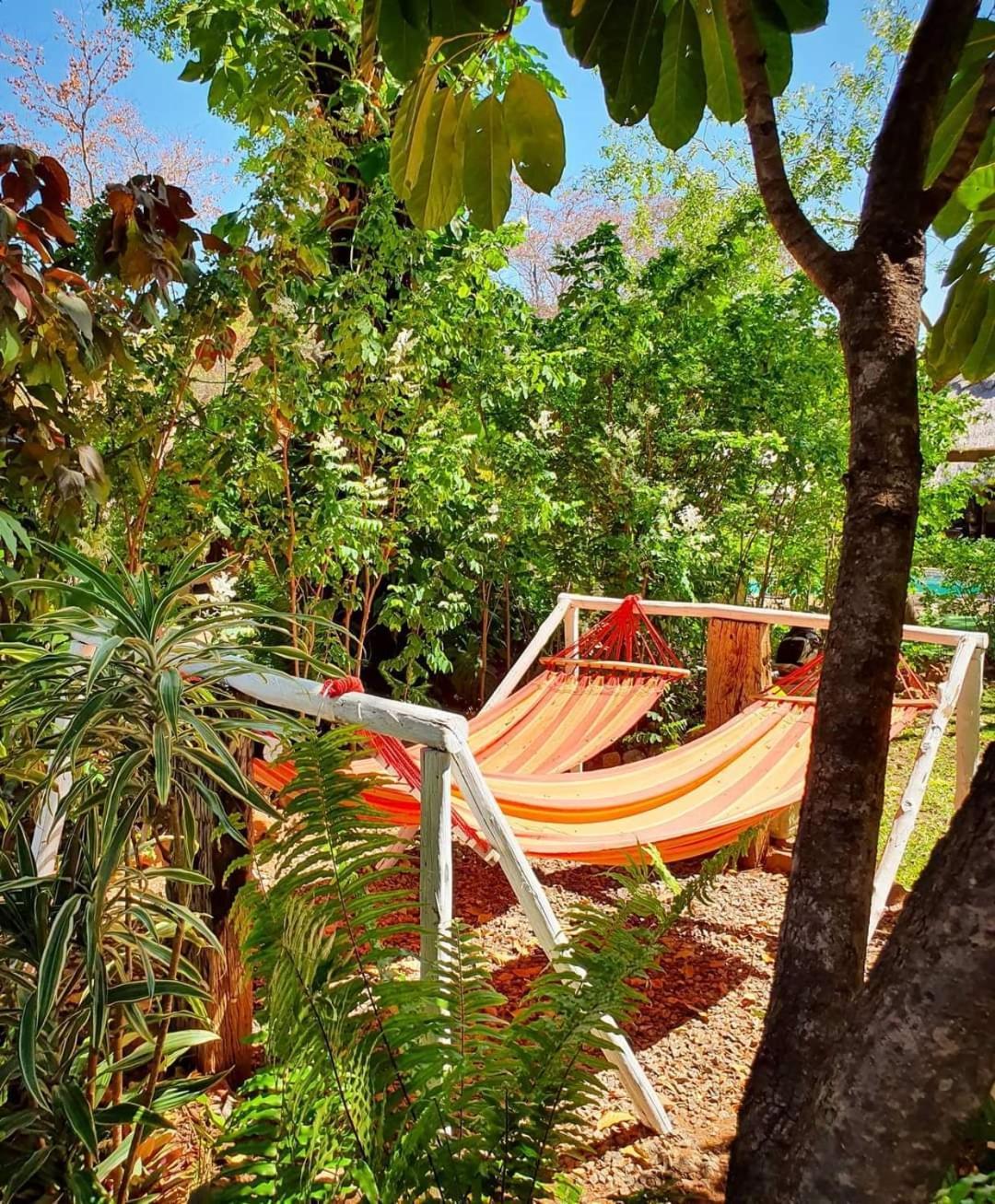 Victoria Falls Backpackers Lodge- Camp Sites 외부 사진